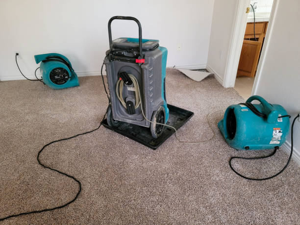 Best Fire Damage Restoration  in Leadwood, MO