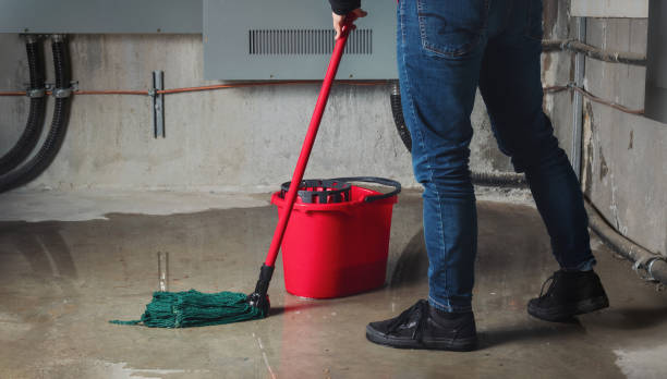 Best 24/7 water damage repair  in Leadwood, MO