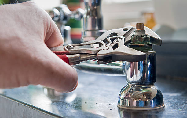 Best Professional water damage repair  in Leadwood, MO