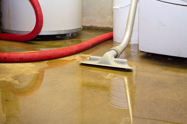 Best Flood restoration services  in Leadwood, MO