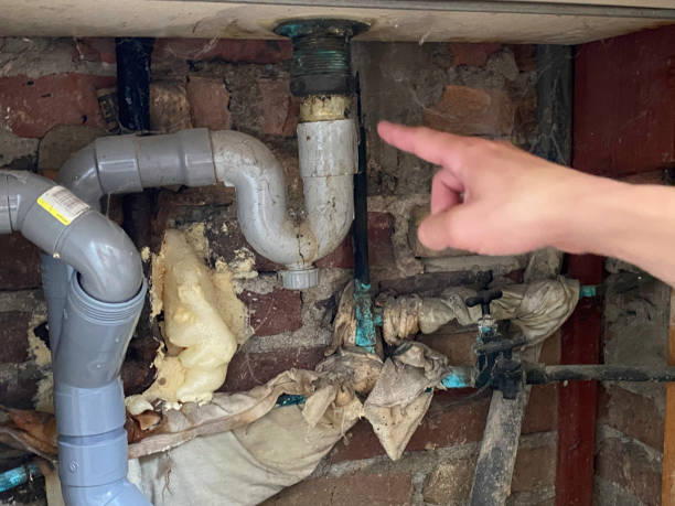 Best Sewage cleanup and water damage restoration  in Leadwood, MO