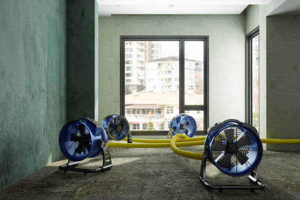 Best Water damage cleanup near me  in Leadwood, MO