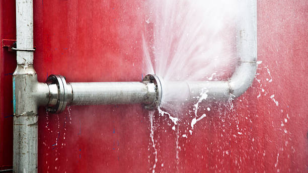 Best Carpet water damage restoration  in Leadwood, MO