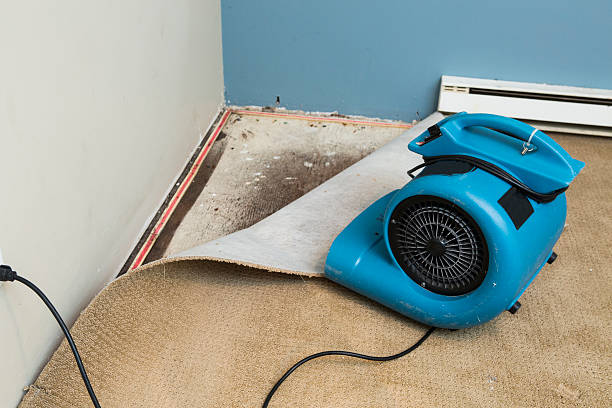  Leadwood, MO Water damage restoration Pros